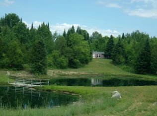 4838 Rondo Rd, Wolverine, MI 49799