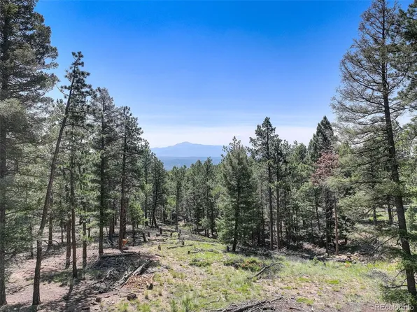1002 Indian Creek Road LOT R0011770, Florissant, CO 80816