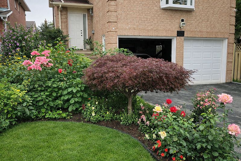 Brampton House for rent - 3 Bedrooms — photo 22