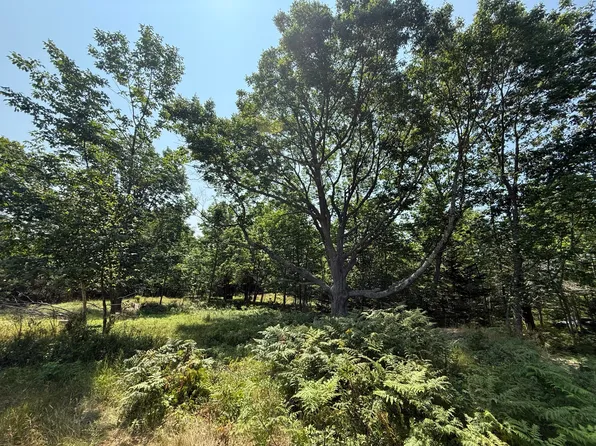 011-032-4 A.W. Smith Road, Vinalhaven, ME 04863