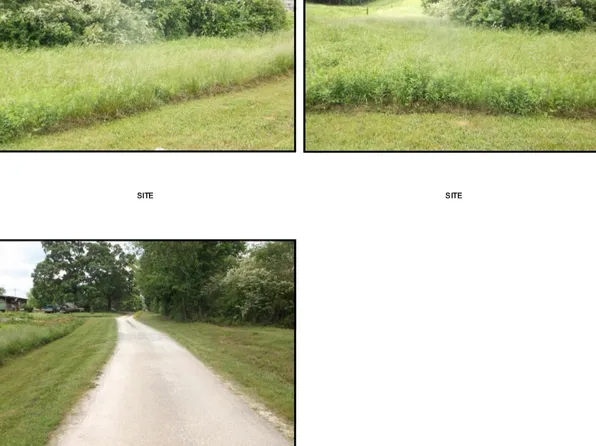 208 Paul Franklin Rd, Clarkesville, GA 30523