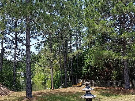 Backyard - lot 1/3 acre