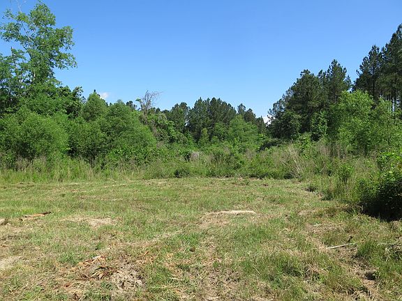 3rd image of 10332 County Road 250 Lot Wp001