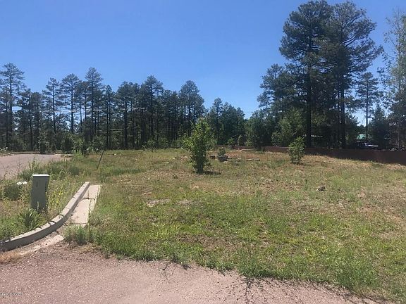3rd image of 93 E White Mountain Blvd #213