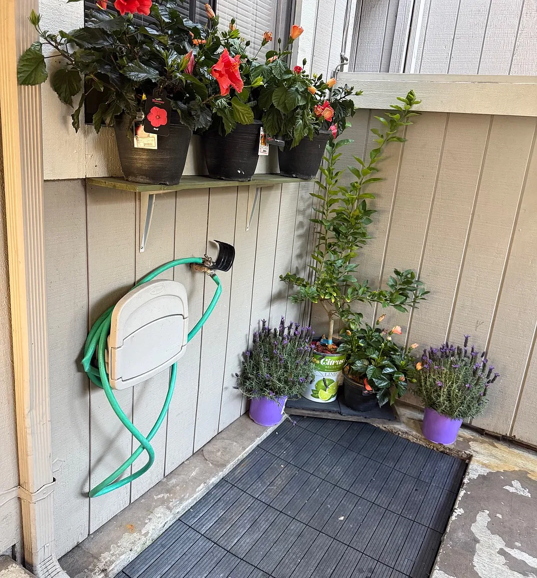 2 bed, 1095 sqft, $2,400 — Photo 1