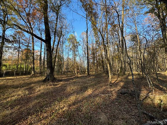 4th image of 8 Jug Factory Rd