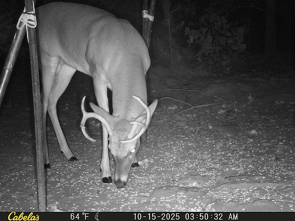 2nd image of 129 Private Road 313