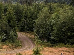 311 Parpala Rd, Naselle, WA 98638