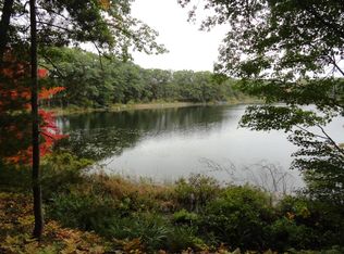 9064 W Ridge View Dr, Irons, MI 49644