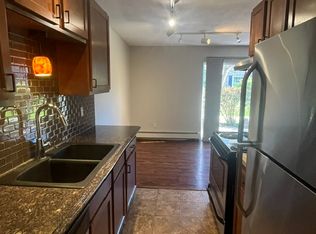 1007 11th Ave S APT 4, Hopkins, MN 55343