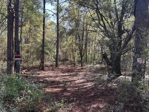 9315 N Lily Dr, Citrus Springs, FL 34434