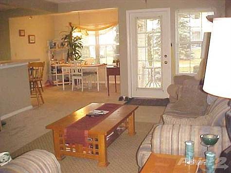 Very open design with plenty of natural light