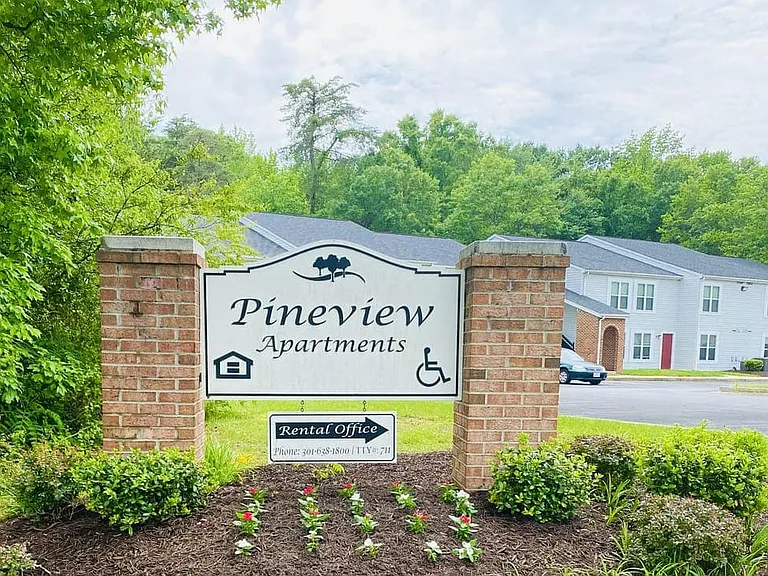 Pine View Apartments — Photo 17
