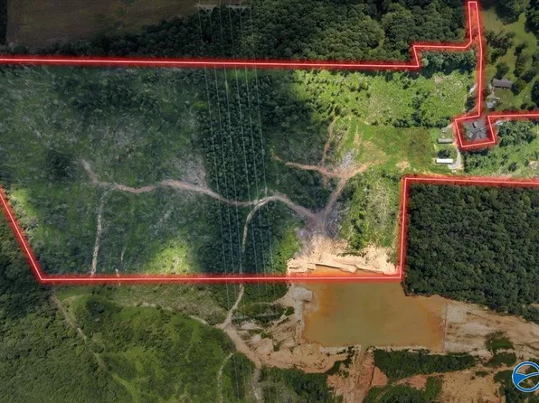569 Bob Haas Rd, Hollywood, AL 35752