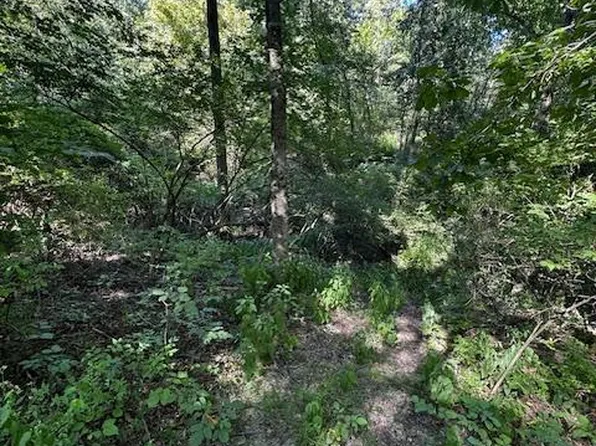 0 Whitacre Rd, Blanchester, OH 45107