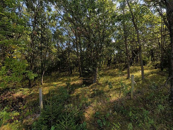 2nd image of County Road M