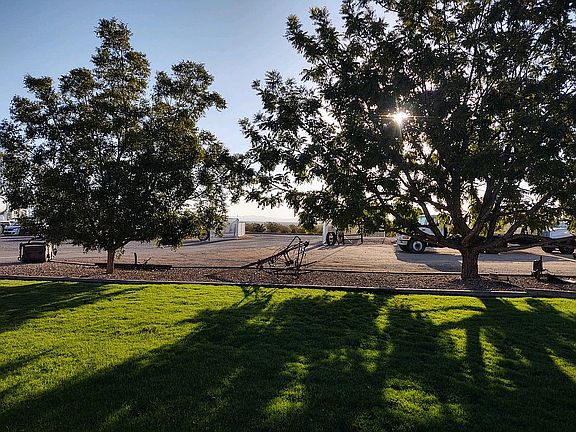 Front lawn with mature trees