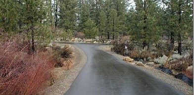 3rd image of 700 Hawkins Ranch Road