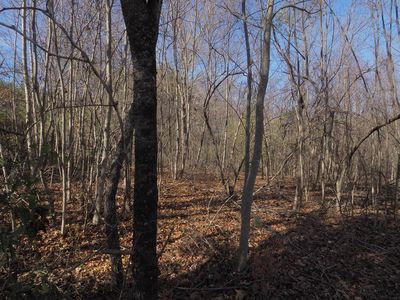 Vista Rd, Independence, VA, 24348