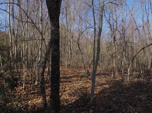 Vista Rd, Independence, VA 24348