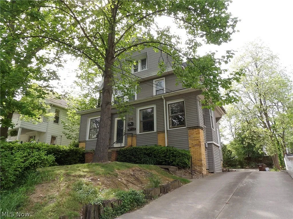 1 bed, $800 — Photo 2