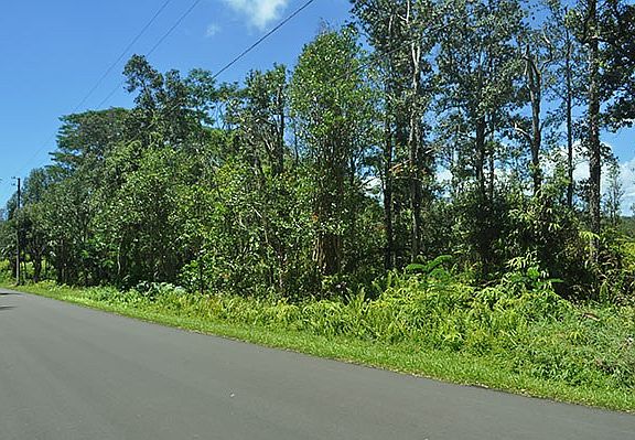 2nd image of Hookupu St Lot 48