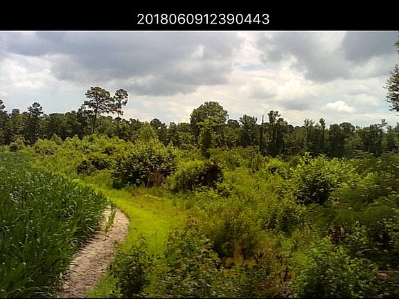 3rd image of 2400 Haynes Lennon Hwy