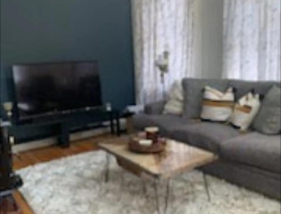 3 pictures spacious living room, numerous windows, skylights, welcome and glorious natural light.