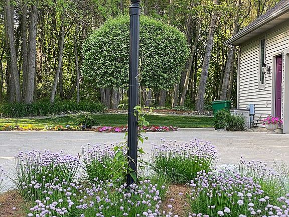 Top of driveway