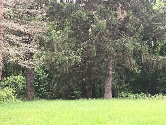 5th image of 138 Hollow Crest Ln