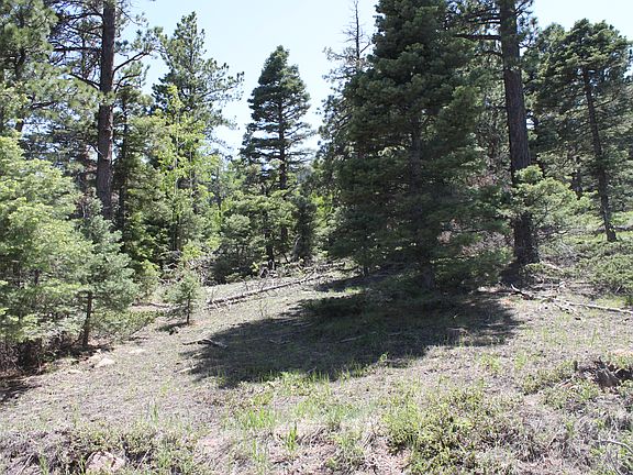4th image of 1735 Chalice Dr