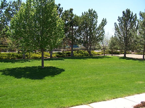 front yard
