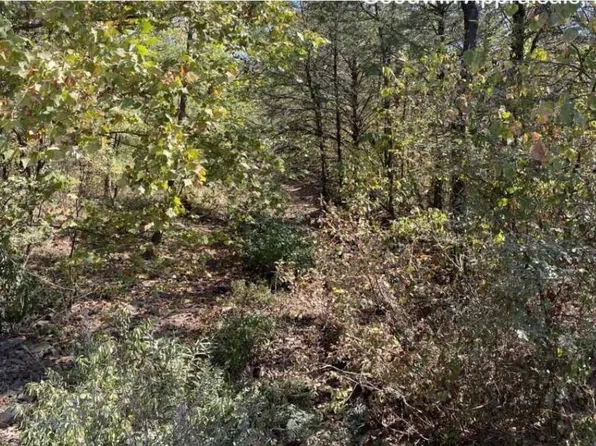 0 Spring Lake Rd, Dardanelle, AR 72834
