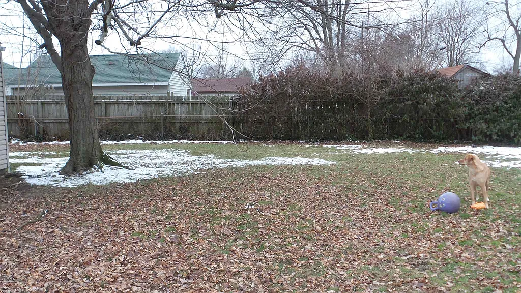 Property photo 5