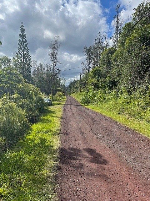 2nd image of Hibiscus Dr Lot 83