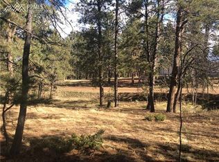 128 Homestead Ln, Florissant, CO 80816