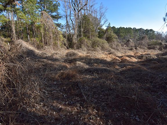 4th image of 816 Mitchell Ave Lot 312