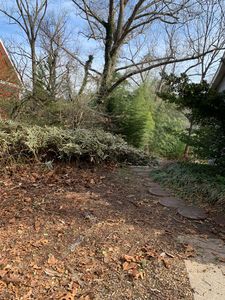 101 Pearson Dr, Asheville, NC, 28801