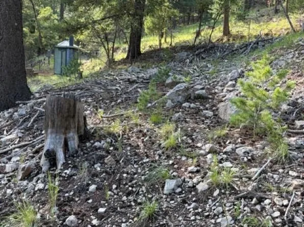 Rim Rd, Cloudcroft, NM 88317