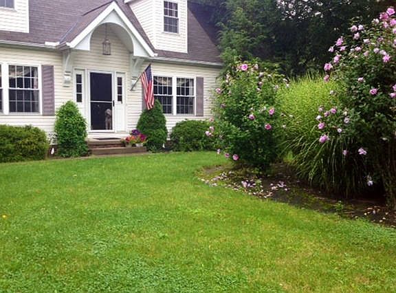 Front Yard