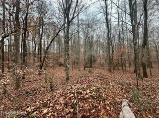 LOT 2 Evergreen Dr, Oneida, TN 37841