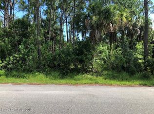 365 Wellwood St SW, Palm Bay, FL 32908