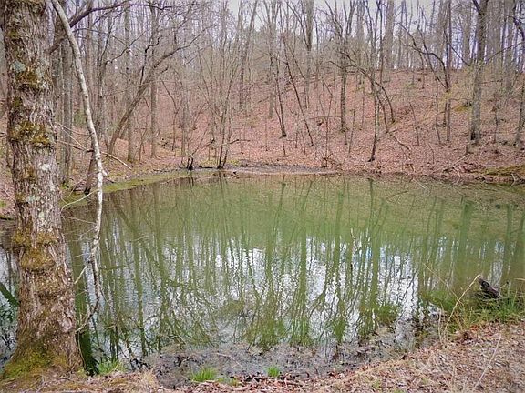 2nd image of 271 Little Mountain Dr