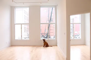 Rented by Level Group