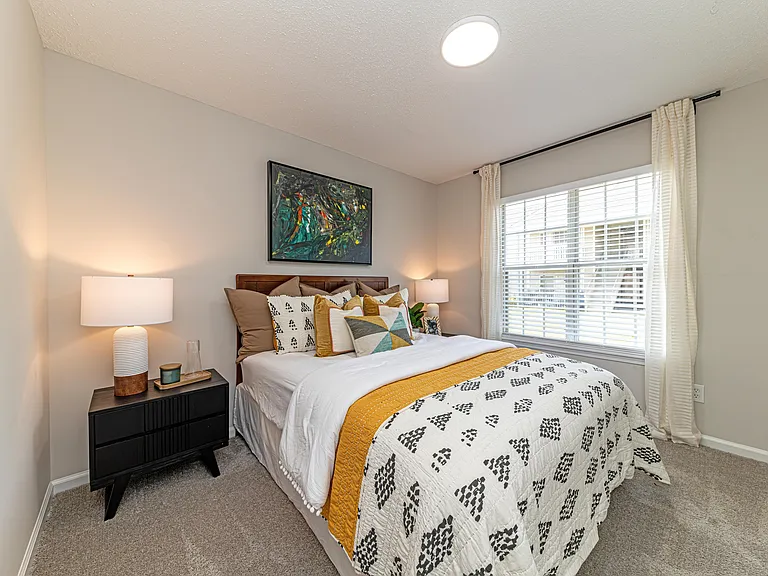 Cozy bedroom with carpet