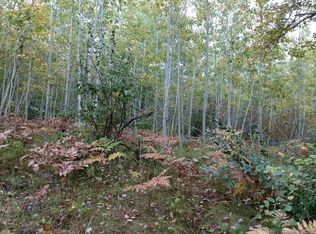 Hoffmeyer Road 20 Acres, Millersburg, MI 49759