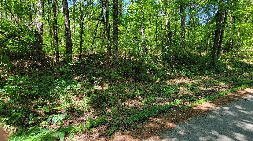 2nd image of 4000 Hazel Patch Rd