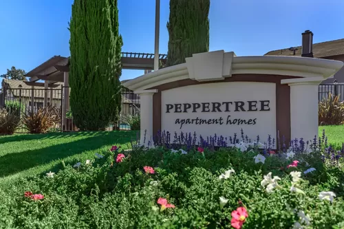 Primary Photo - Peppertree Apartments