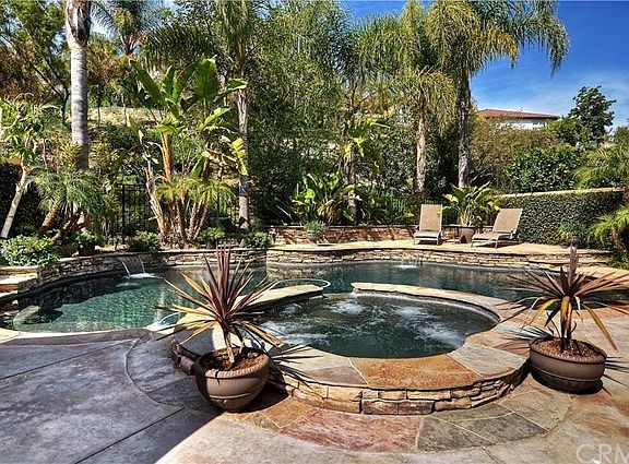 Custom freeform pool with sheet falls and stone accents. Notice how distant the neighbors are...