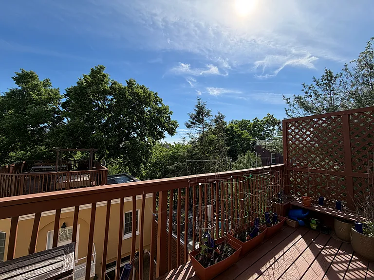 1842 Mintwood Pl NW #3 — Photo 12